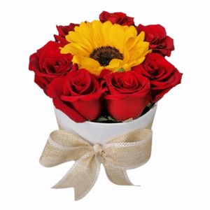 Box de 7 rosas y un girasol