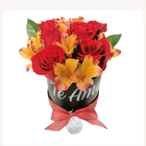 Box de 6 rosas y astromelias