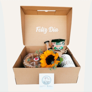 Box con mini torta de chocolate, frutos secos Villa Natura, jugo selva, taza y un girasol
