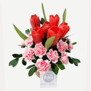 Box de 6 tulipanes y claveles