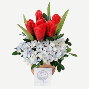 Box de 6 tulipanes y hortensias