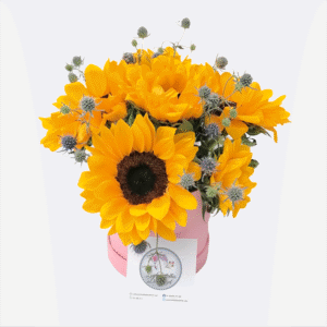 Box de 6 girasoles y erigios