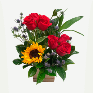 Box de 6 rosas, un girasol y erigios