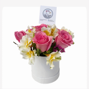 Box de 6 rosas y astromelias