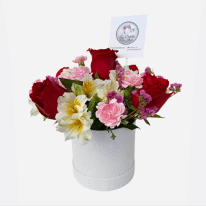 Box de 6 rosas, claveles, astromelias y statice