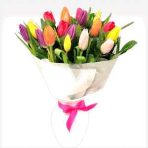 Ramo de 18 tulipanes
