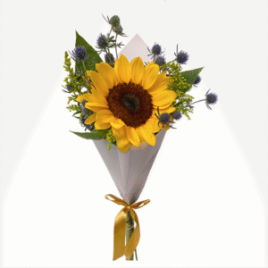Ramo de un girasol, erigio y stilver