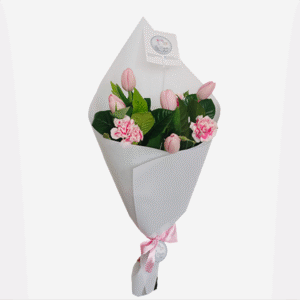 Ramo de 5 tulipanes y clavel