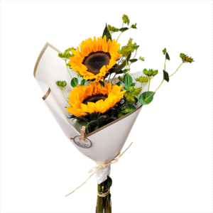 Ramo de 2 girasoles