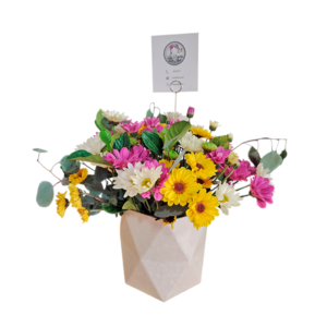 Box de mini girasoles, margaritas y silver dollar