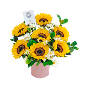 Box de 8 girasoles y margaritas