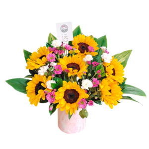 Box de 8 girasoles, claveles y margaritas
