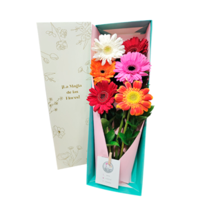 Caja de 6 gerberas
