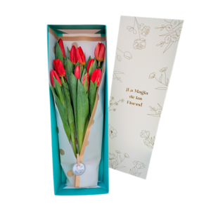 Caja de 10 tulipanes