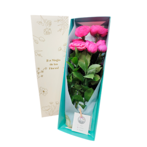 Caja de 6 rosas inglesas